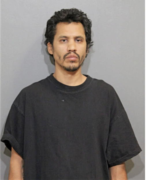 MICHAEL P QUIROZ, Cook County, Illinois