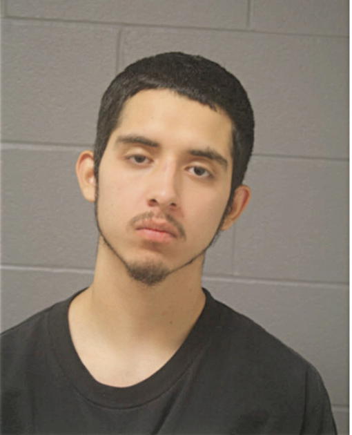 ALEJANDRO RICO, Cook County, Illinois