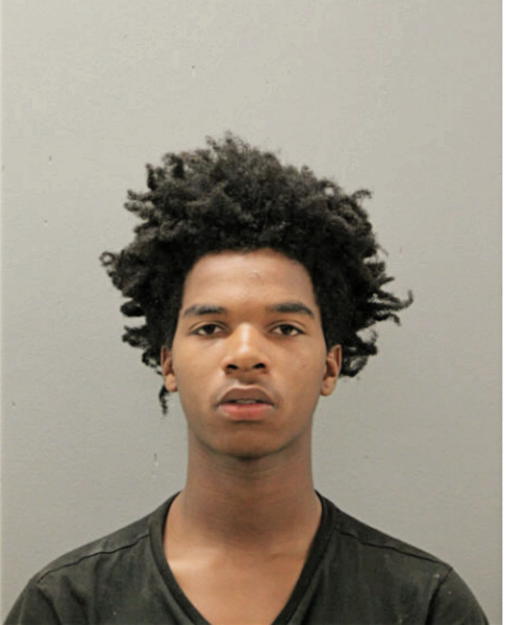 TERRY J SALLAY, Cook County, Illinois