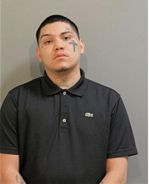 JOSEPH M SANCHEZ, Cook County, Illinois