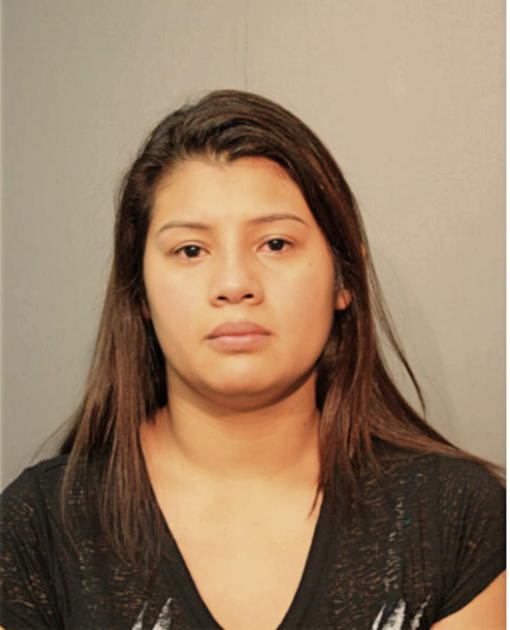 IRIS Y VARGAS, Cook County, Illinois