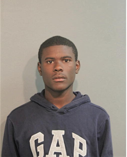 DERRICK L WHITE, Cook County, Illinois