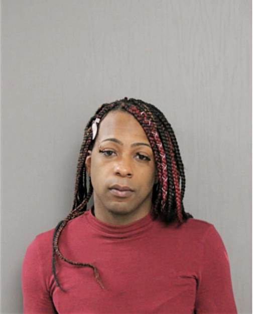 BRANDON L WILLIAMS, Cook County, Illinois