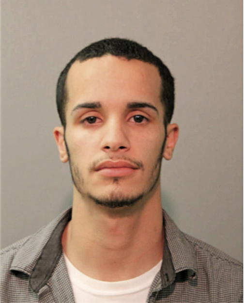 MICHAEL A ROLDAN, Cook County, Illinois