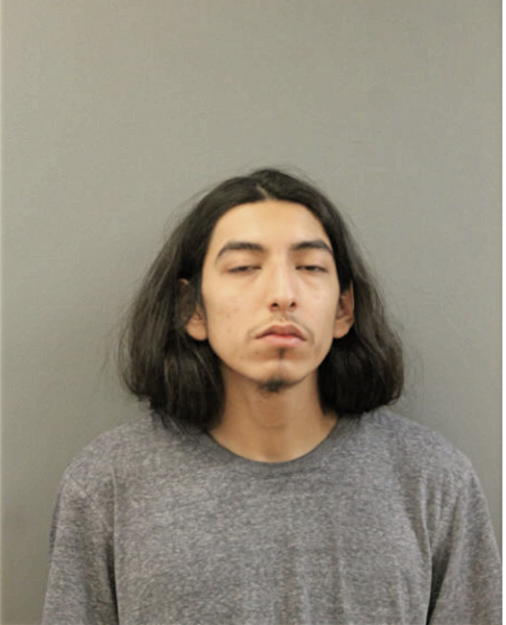 LUIS BELTRAN, Cook County, Illinois