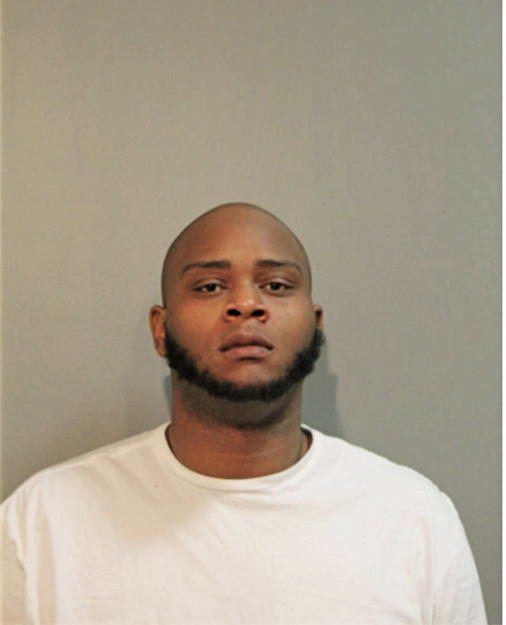 CHRISTOPHER L BURNS, Cook County, Illinois