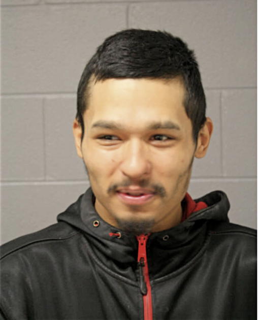 DAVID C CALVILLO, Cook County, Illinois