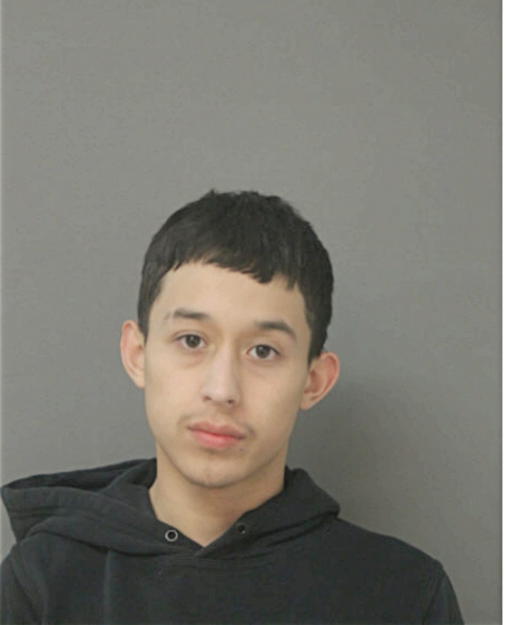 RICARDO J CARDENAS, Cook County, Illinois