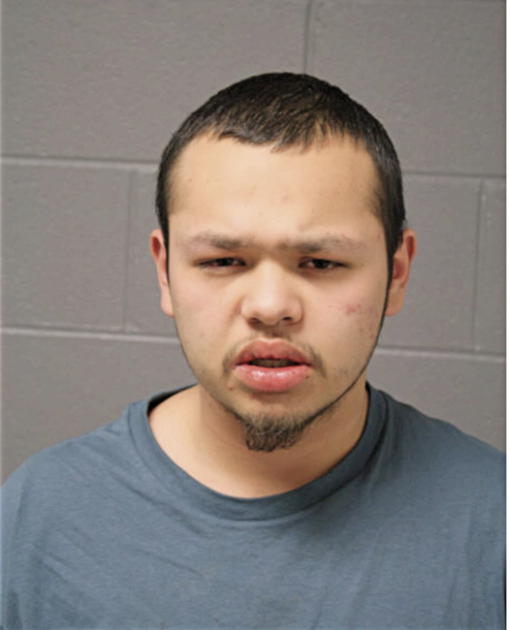 RICK A CARLOS, Cook County, Illinois