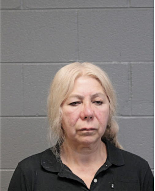 FRYDA CASTILLO, Cook County, Illinois