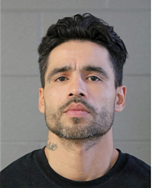 HECTOR R FLORES, Cook County, Illinois