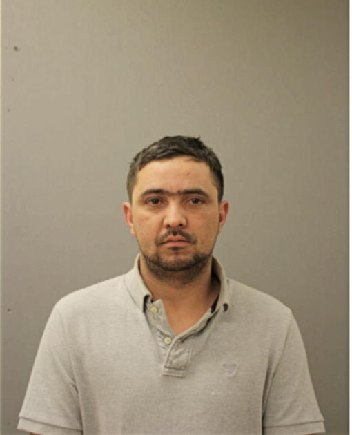 NELSON NOEL GARCIA, Cook County, Illinois