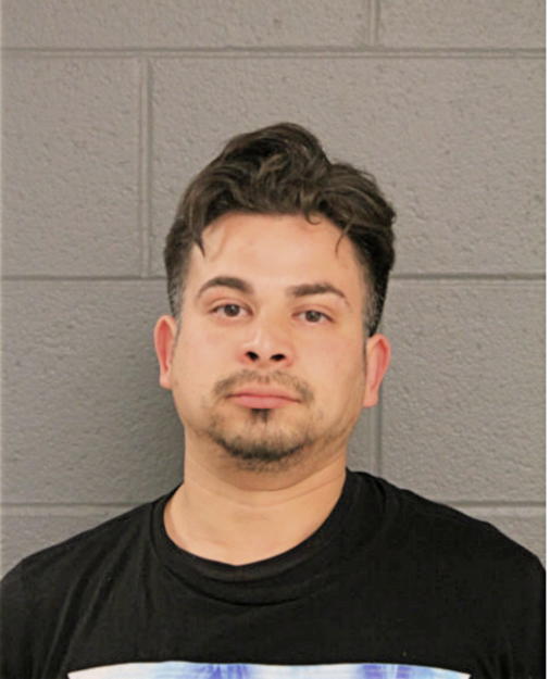 ADRIAN E GONZALEZ, Cook County, Illinois