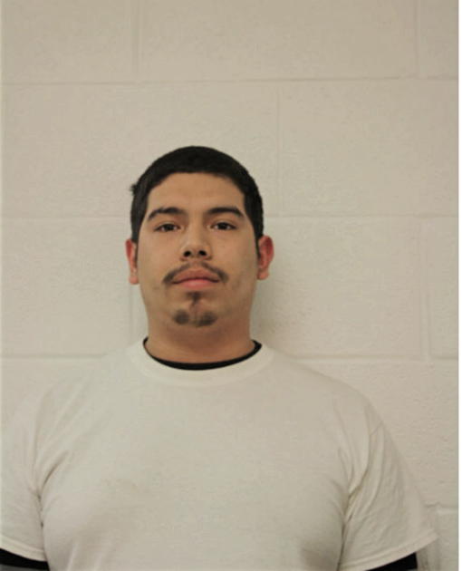 DANIEL R GUERRA, Cook County, Illinois