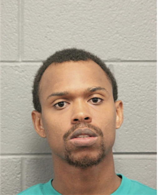 BRANDON J AMISON, Cook County, Illinois