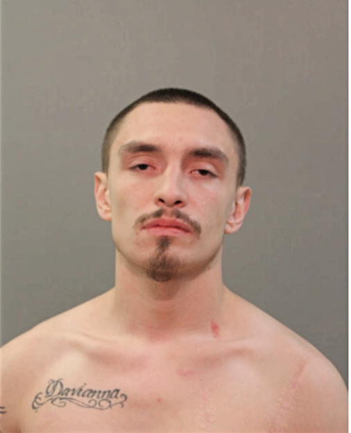DAVID D JOHNSON, Cook County, Illinois