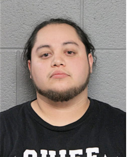 RUBEN PESINA JR, Cook County, Illinois