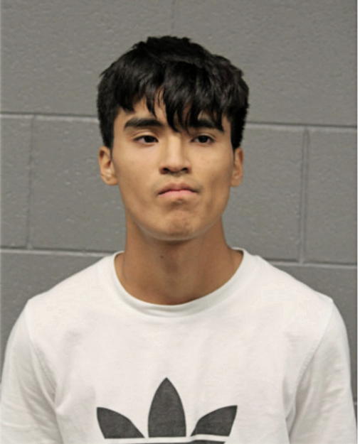 ANGEL V LEPE, Cook County, Illinois