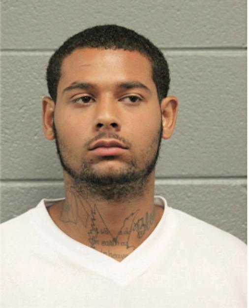 SYLVESTER T MARTIN, Cook County, Illinois