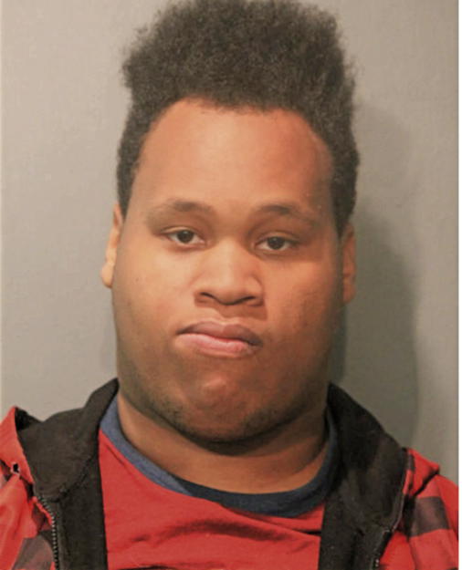 JOHN L MCCUNE, Cook County, Illinois