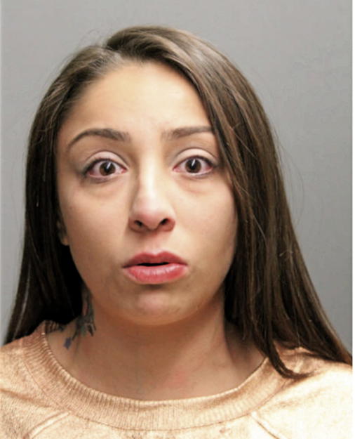 ESTRELLA M METOYER, Cook County, Illinois