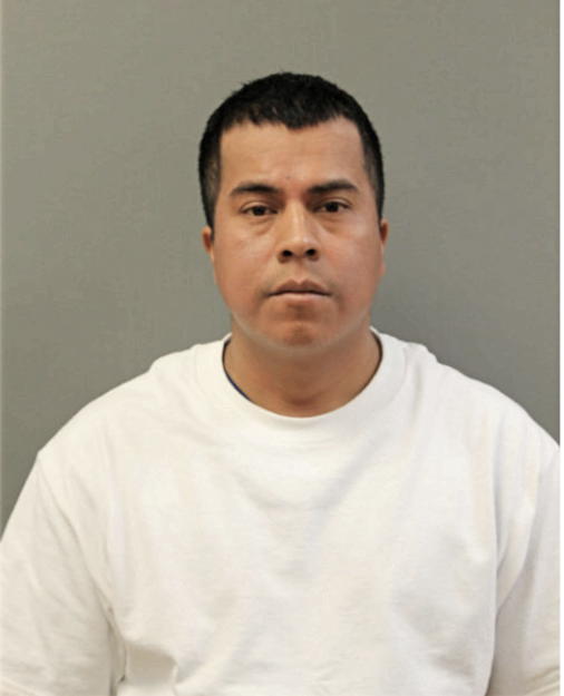 CARLOS R MIJANGOS, Cook County, Illinois