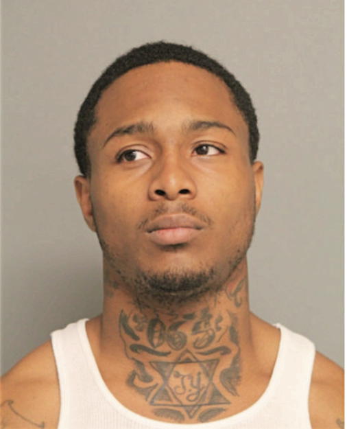 DION R NEWMAN, Cook County, Illinois