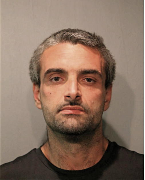 SLAVKO NISZVIC, Cook County, Illinois