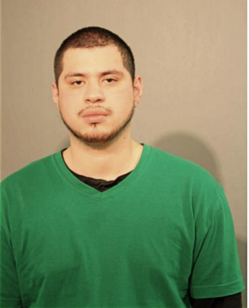 FERNANDO PERALTA, Cook County, Illinois