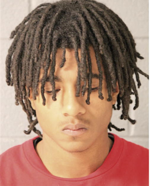 DESMOND C POTTS, Cook County, Illinois
