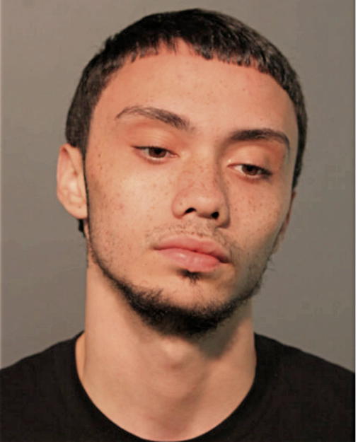 CHRISTIAN REYES, Cook County, Illinois