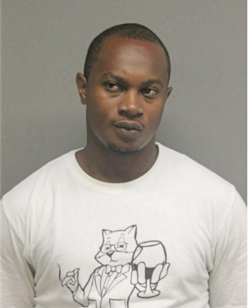 STEVEN M SHOLES, Cook County, Illinois
