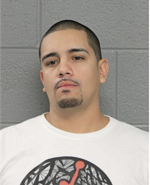 CESAR VEGA, Cook County, Illinois