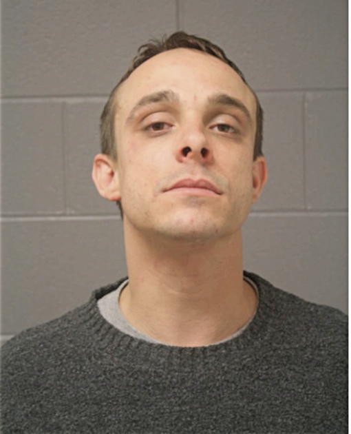 JESSE D VERBONITZ, Cook County, Illinois