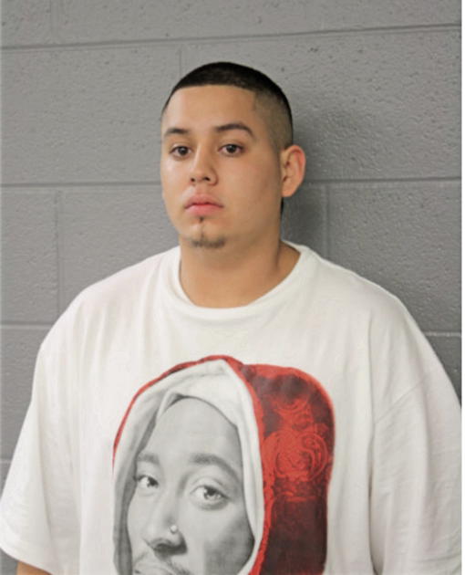 GERARDO A VILLARREAL, Cook County, Illinois