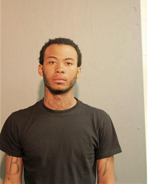 JOEL B WILLIAMS, Cook County, Illinois