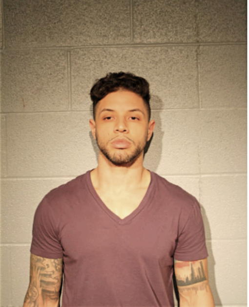 ANTHONY J YARC, Cook County, Illinois