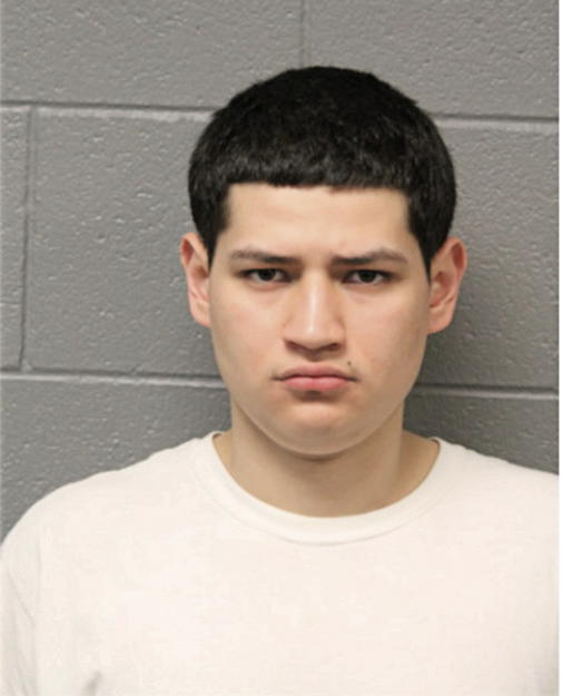FRANCISCO ALVARES, Cook County, Illinois