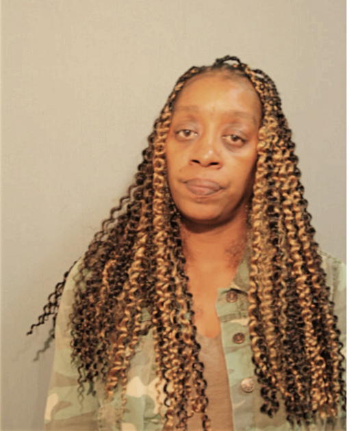 MARCIA N BRUNT, Cook County, Illinois