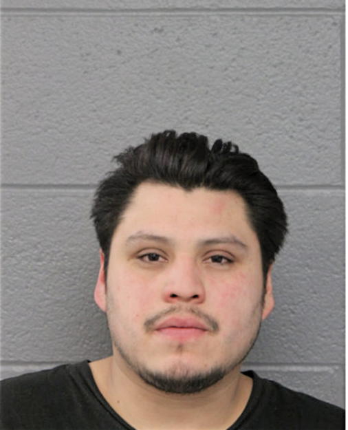 LUIS A CONTRERAS, Cook County, Illinois