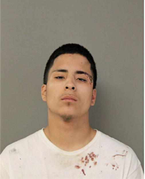 ALEX ELVIRA, Cook County, Illinois
