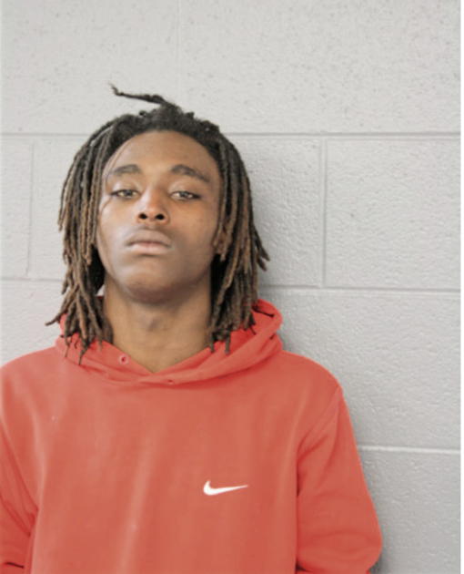 NATHAN L EMERSON, Cook County, Illinois