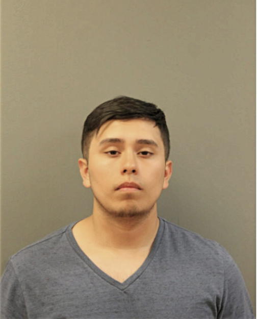 HENRY FERNANDEZ, Cook County, Illinois
