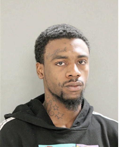 DERRICK D FLEMING, Cook County, Illinois