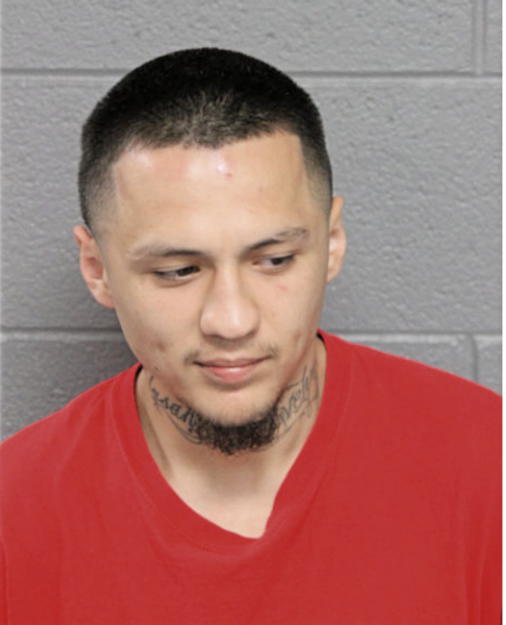 FELIX T FLORES-CARRERA, Cook County, Illinois