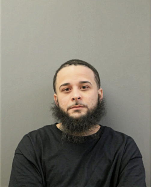 LUIS FUENTES-CATALA, Cook County, Illinois