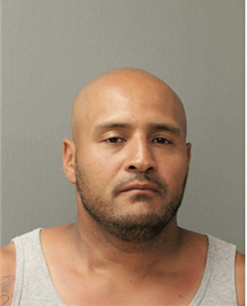 ERIC P GONZALEZ, Cook County, Illinois