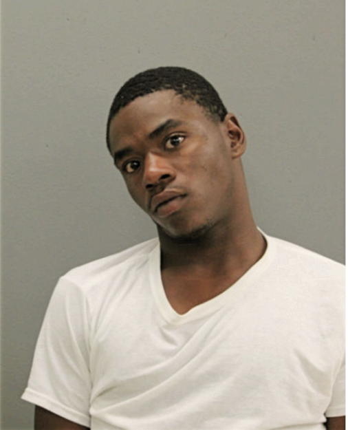 KOREY M HAMILTON, Cook County, Illinois