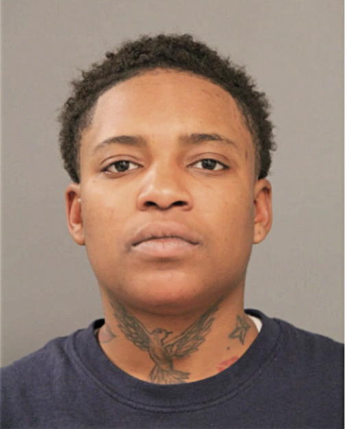 BRITTANY T HAYWOOD, Cook County, Illinois
