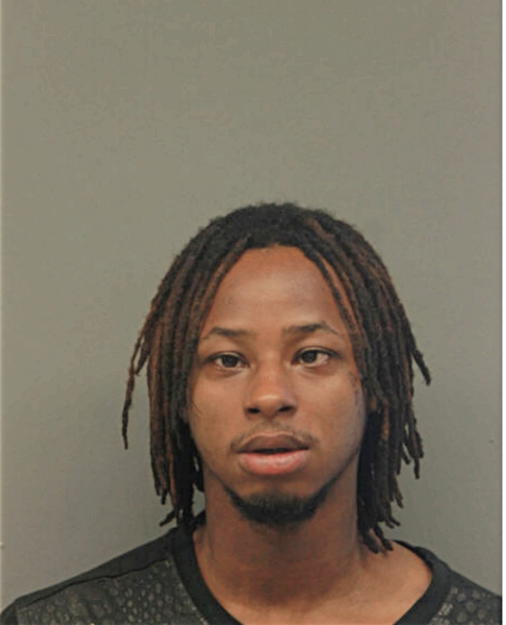 NATHANIEL C JACKSON, Cook County, Illinois